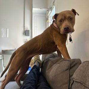 Meet your Posher, Nicolas